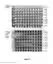 Fig. 10 - Substituted phenazines as antimicrobial agents