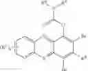 Fig. 165 - Substituted phenazines as antimicrobial agents