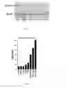 Fig. 02 - Compounds having a selective PDE4D inhibiting activity