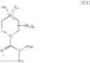 Fig. 253 - TRPV1 antagonists including dihydroxy substituent and uses thereof