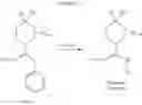 Fig. 396 - TRPV1 antagonists including dihydroxy substituent and uses thereof
