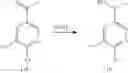 Fig. 508 - TRPV1 antagonists including dihydroxy substituent and uses thereof