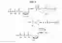 Fig. 02 - Disulfide-linked reversible terminators