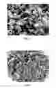 Fig. 02 - Polymer composition from mixed plastic waste