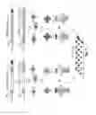 Fig. 02 - Virion display array for profiling functions and interactions of human membrane proteins