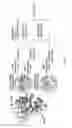 Fig. 07 - Compositions and methods of use thereof for making polypeptides with many instances of nonstandard amino acids