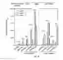 Fig. 09 - Compositions and methods of use thereof for making polypeptides with many instances of nonstandard amino acids