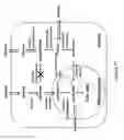Fig. 22 - Primary alcohol producing organisms