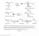 Fig. 02 - Processes to prepare elongated 2-ketoacids and C6-C10 compounds therefrom via genetic modifications to microbial metabolic pathways