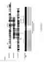 Fig. 35 - Reduction of bias in genomic coverage measurements