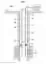 Fig. 02 - Backbone network architecture and network management scheme for downhole wireless communications system