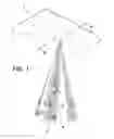 Fig. 02 - Illuminated inner trim for vehicles