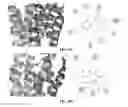 Fig. 09 - Methods and systems for modulating hormones and related methods, agents and compositions