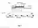 Fig. 08 - Multiplexed spectral lifetime detection of phosphors