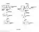Fig. 02 - Isobaric tandem mass tags for quantitative proteomics and peptidomics