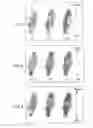 Fig. 04 - Virtual sensing for adjoint based incorporation of supplementary data sources in inversion