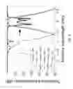 Fig. 09 - Tunable Optical Element