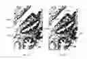 Fig. 09 - Polyfocal interferometric image acquisition wherein each image of substantially non-overlapping images corresponds to one of spatially-different optical channels
