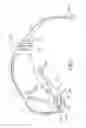 Fig. 02 - Temple and eyewear having the same