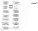 Fig. 08 - PEPTIDOMIMETIC COMPOUNDS AND RELATED METHODS