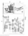 Fig. 09 - Biological data annotation and visualization