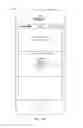 Fig. 35 - User interface for loyalty accounts and private label accounts
