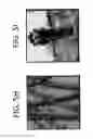 Fig. 20 - System and method for perspective preserving stitching and summarizing views
