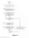 Fig. 33 - Animation based on Content Presentation Structures