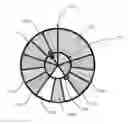 Fig. 01 - Spinner bingo game and method
