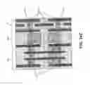 Fig. 49 - Electronic devices and systems, and methods for making and using the same