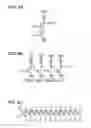 Fig. 07 - DRIVER CIRCUIT AND SEMICONDUCTOR DEVICE