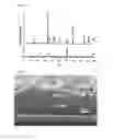 Fig. 08 - PREPARATION OF SEMICONDUCTOR FILMS