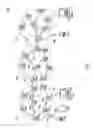 Fig. 02 - Network description mechanisms for anonymity between systems