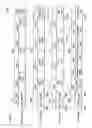 Fig. 45 - Moving picture coding method, and moving picture decoding method