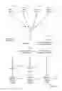 Fig. 02 - Live consecutive ad insertion