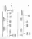 Fig. 06 - Intra-RRC high-bandwidth grant request techniques