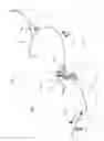 Fig. 03 - Mulch kit control lever