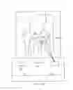 Fig. 09 - System and method of attaching cups to a dairy animal