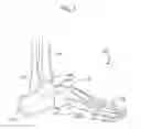 Fig. 02 - Arch-supporting sock