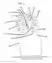 Fig. 06 - Golf gloves