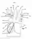 Fig. 07 - Golf gloves