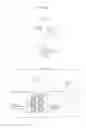 Fig. 20 - Shock absorbing structure and shoe to which the shock absorbing structure is applied