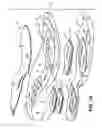Fig. 02 - Sole Structures and Articles of Footwear Having Plate Moderated Fluid-Filled Bladders and/or Foam Type Impact Force Attenuation Members