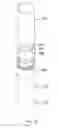 Fig. 34 - Liquid cosmetics case