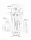 Fig. 02 - ELASTIC STRAP ASSEMBLY FOR LONG SKATEBOARD
