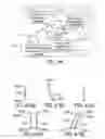 Fig. 45 - Chair with ergonomic motion features