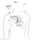 Fig. 02 - POSTURE-INDUCED CHANGES TO PHYSIOLOGICAL PARAMETERS