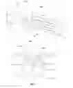 Fig. 02 - Tissue closure