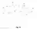 Fig. 13 - BILLOWING GRAFT ASSEMBLIES FORMED FORM ONE OR MORE ADVANTAGEOUSLY SELECTED STRUCTURAL FEATURES