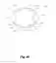 Fig. 41 - BILLOWING GRAFT ASSEMBLIES FORMED FORM ONE OR MORE ADVANTAGEOUSLY SELECTED STRUCTURAL FEATURES